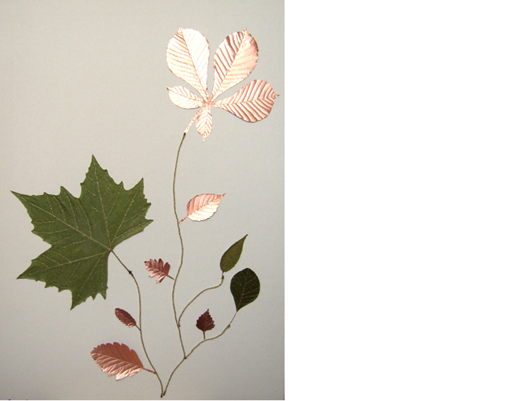 Naturally Complicated 1